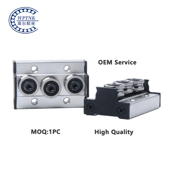 Sgb Sgr Double Axis Linear Guide Rail Sgr10 Sgr15 Sgr20 Sgr25 Sgr35 with Linear Slide Block Sgb10 Sgb15 Sgb20 Sgb25 Sgb35